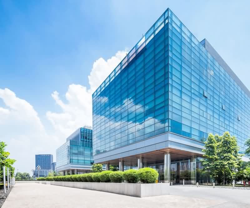 苍蝇粉效果视频